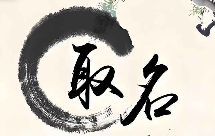 公司名字3.png